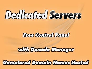 Discounted dedicated hosting server services